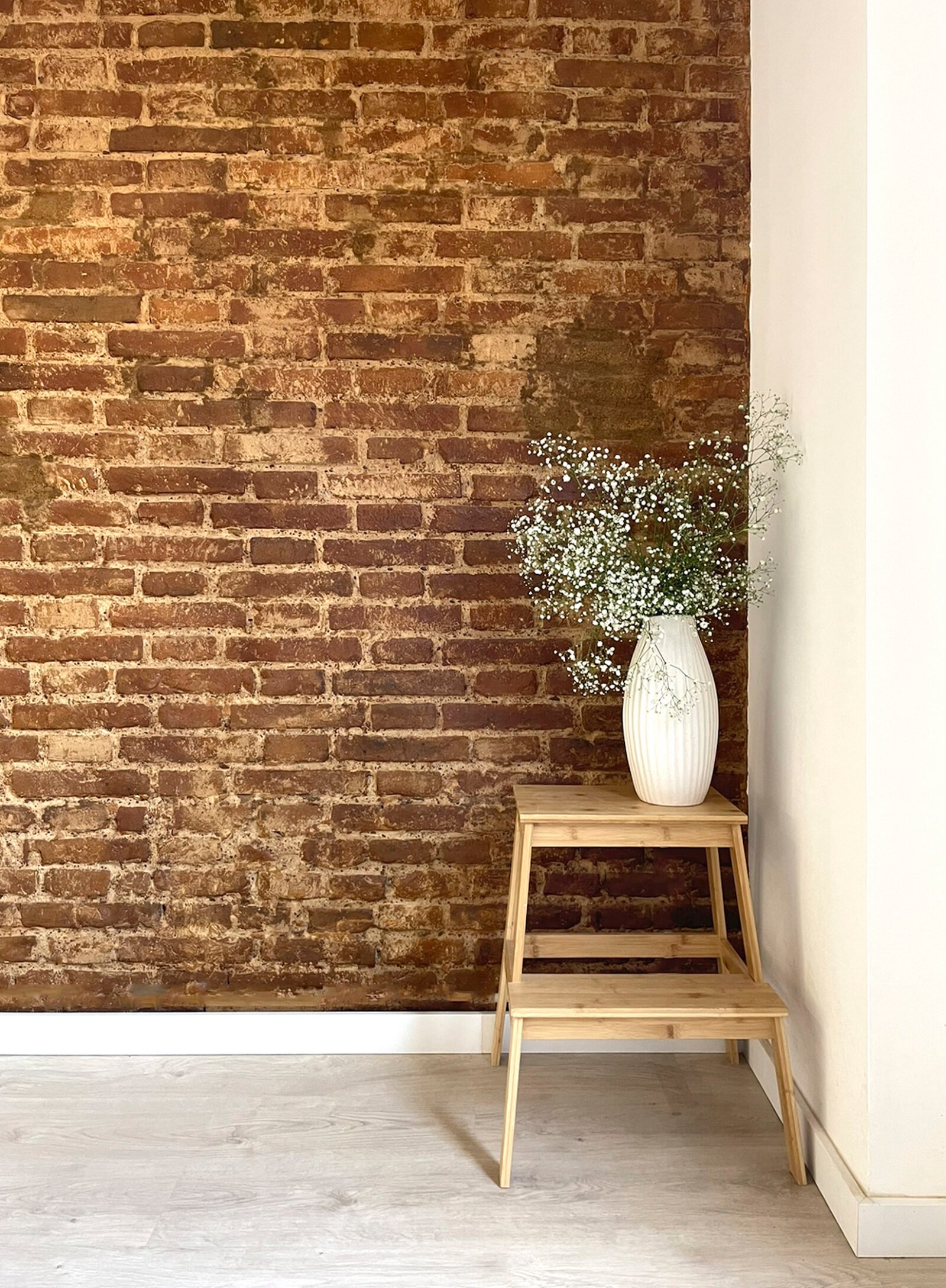 Reforma Valencia Pilar-8082-R