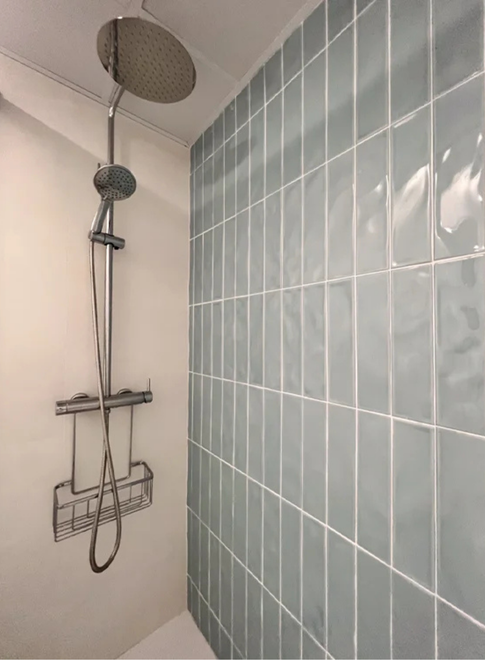 Reforma ducha moderna L'aeixeta